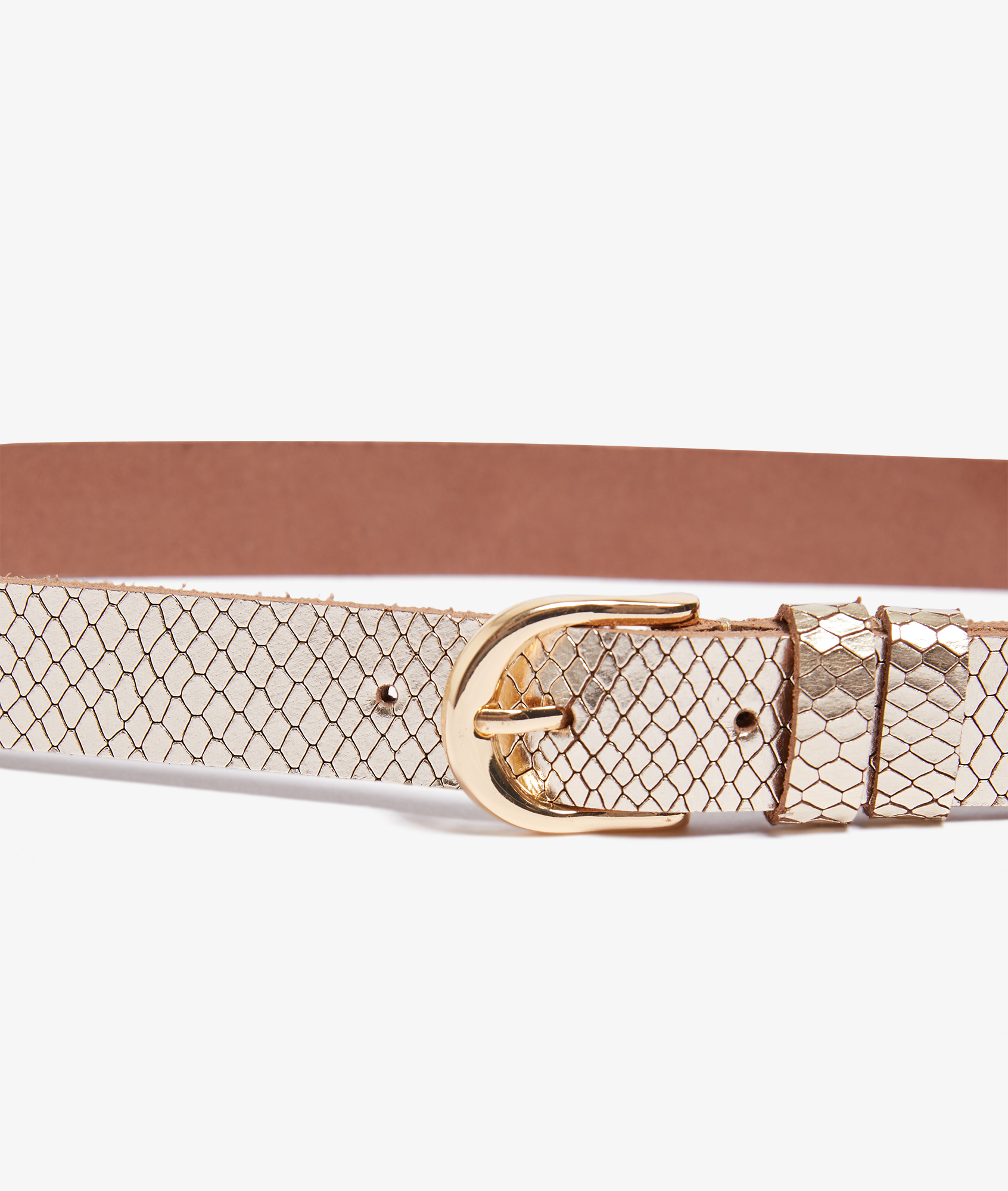 primark ladies belts